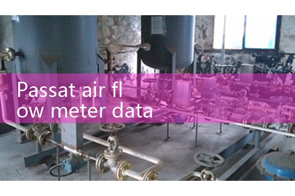 Passat air flow meter data
